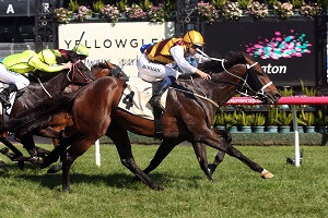 Preferment 03.10.15 G1 Turnbull St